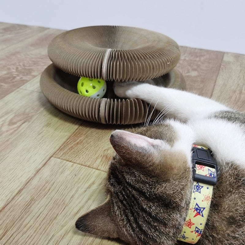 Cat Scratcher Toy
